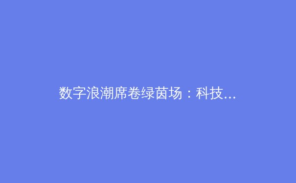 数字浪潮席卷绿茵场：科技如何重塑现代体育竞技与观赛体验